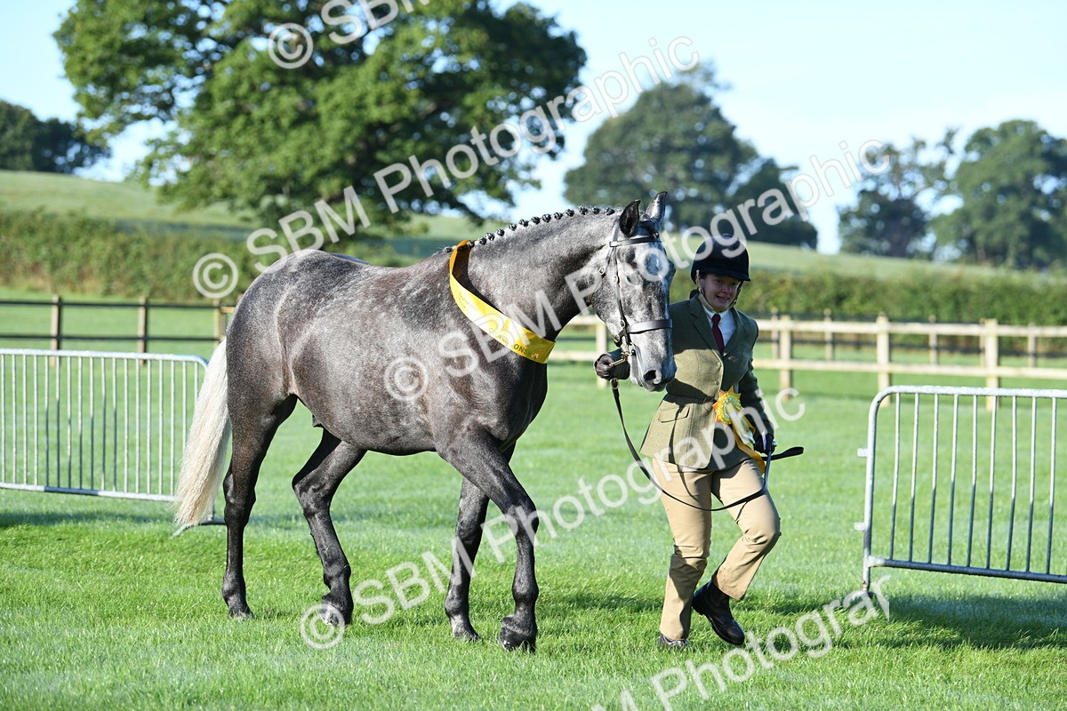 SBM_32859 - S15 - Condition & Turnout In Hand