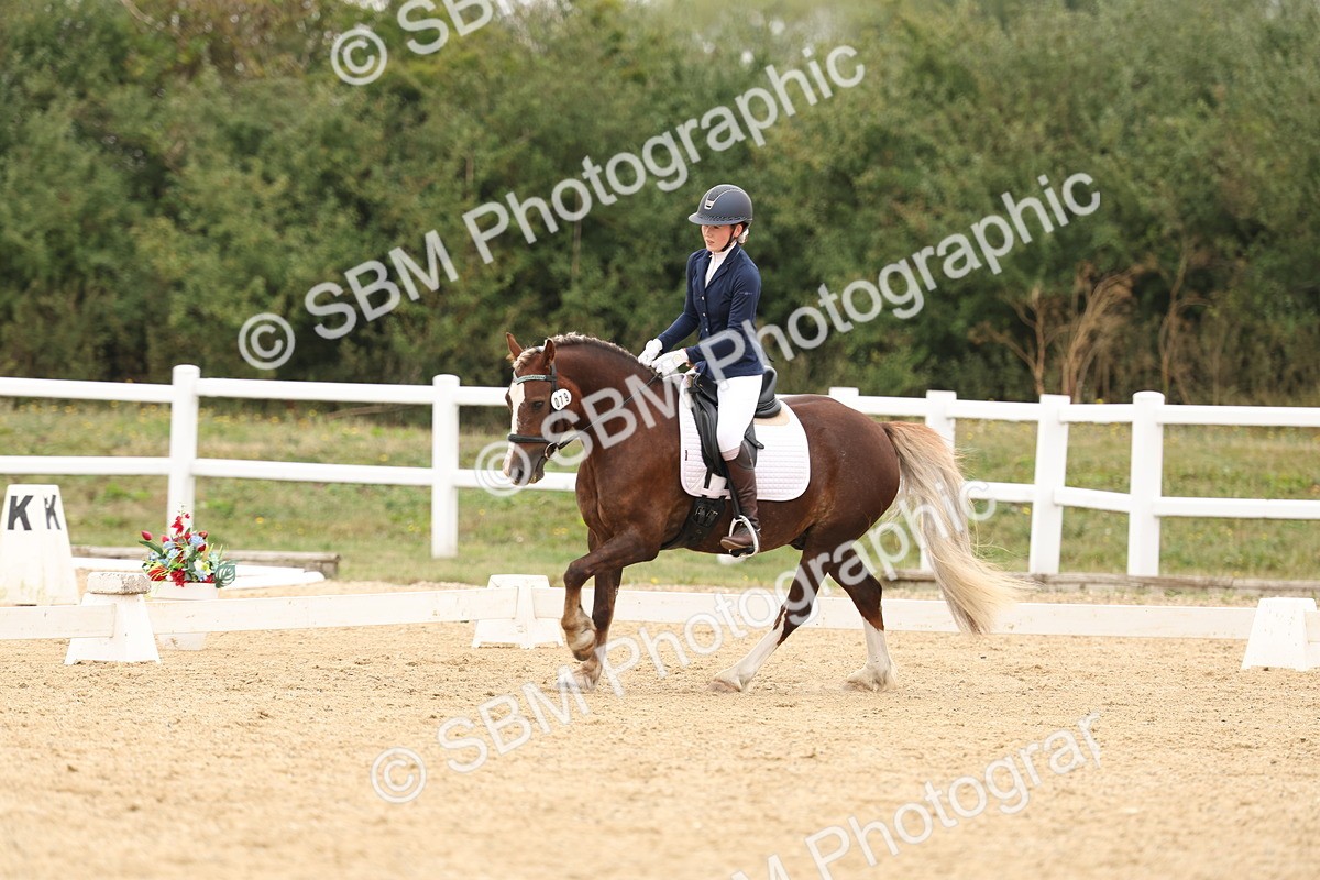 SBM_01054 - Class 8 - Novice 27 Champs
