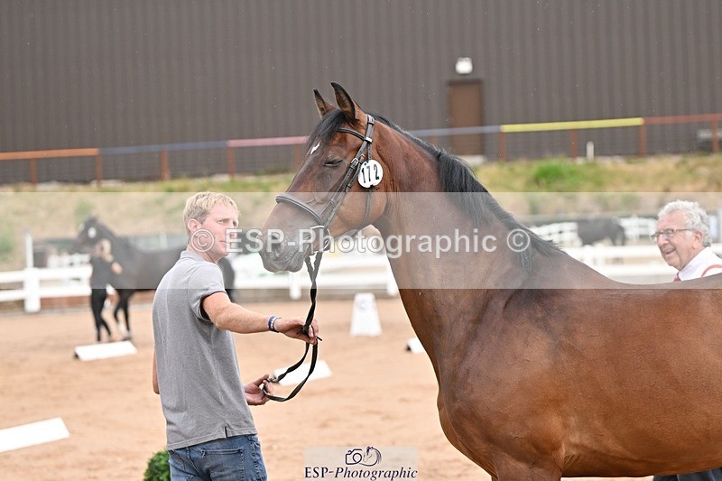 250716-151350-01798 - Trot Up 2.30 to 3.30