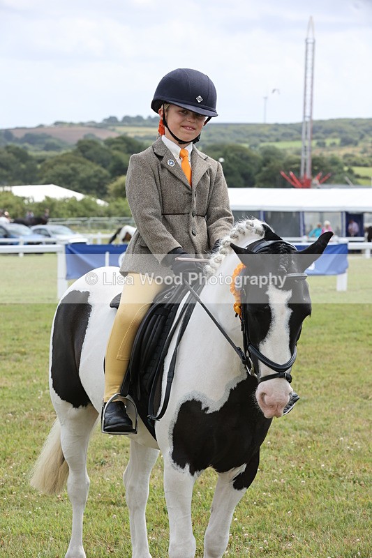 JPP_1990 - Class 18: Tiny Tots Working Hunter Pony