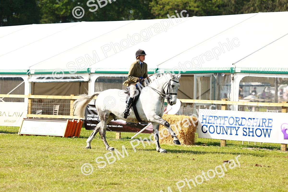 SBM_11937 - Class 66-69 - RIHS Ridden Hunters Inc Small Hunter