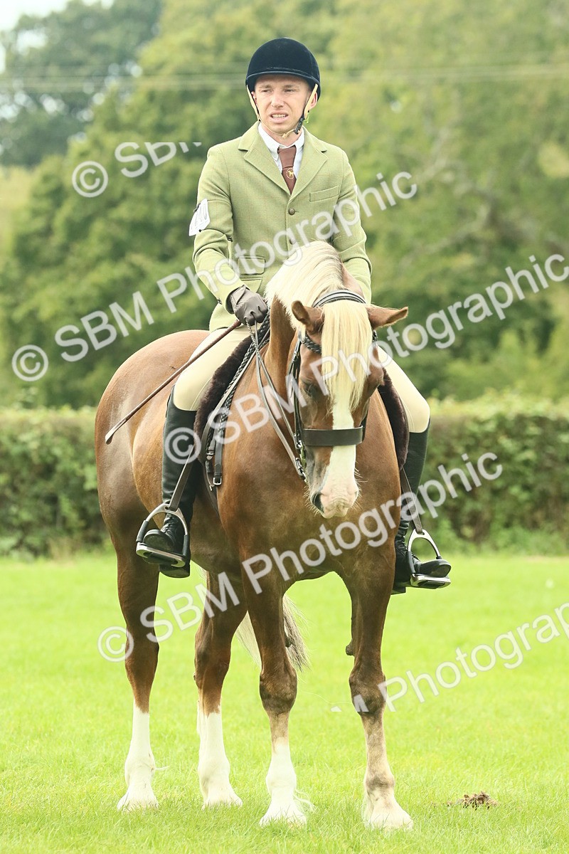 SBM_71945 - S60 - Mountain & Moorland Ridden Large Breeds