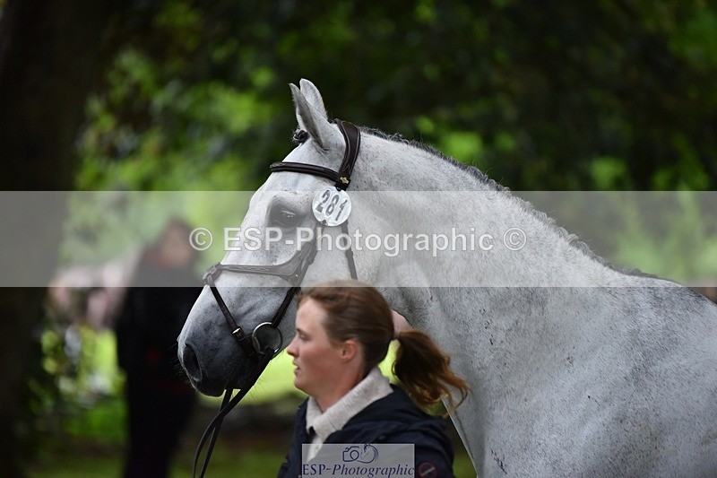 240522-164558-01138 - 281-UNSTOPPABLE_VAN_'T_CRAEYNEST_Z-Valentine_Emsens