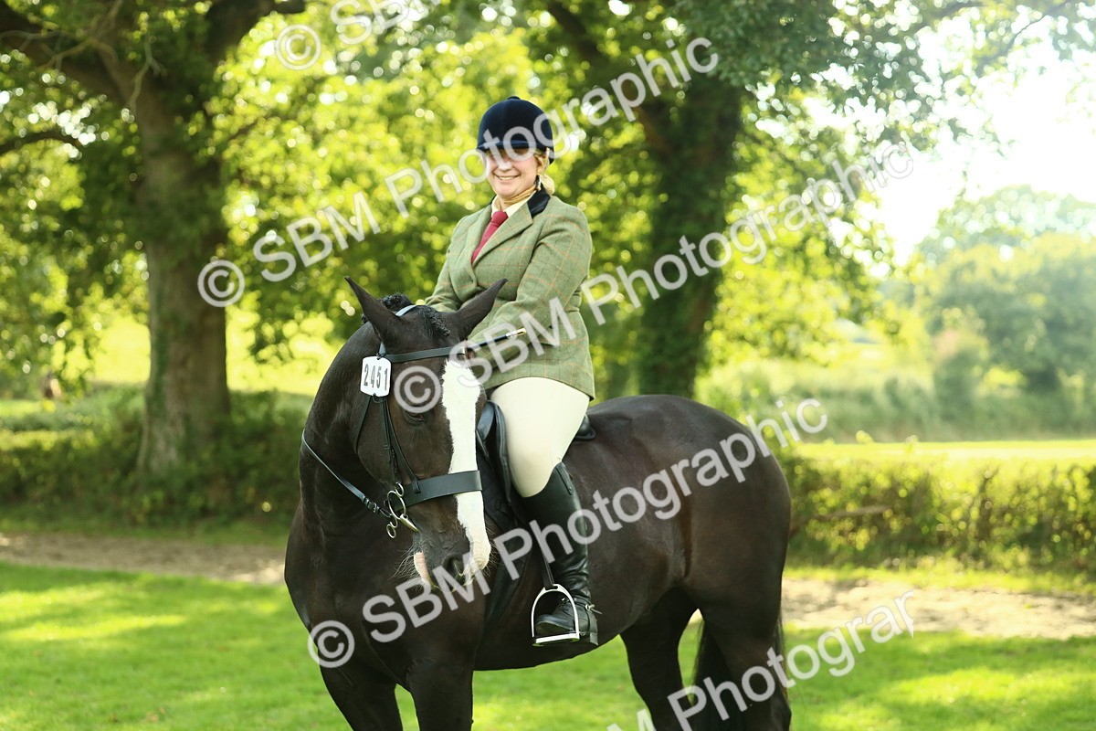 SBM_52193 - S33 - Working Hunter & Working Show Horse