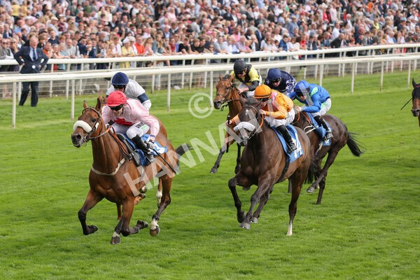 yr18082021r5-51 - Race 5 4.10pm Sky Bet Stakes