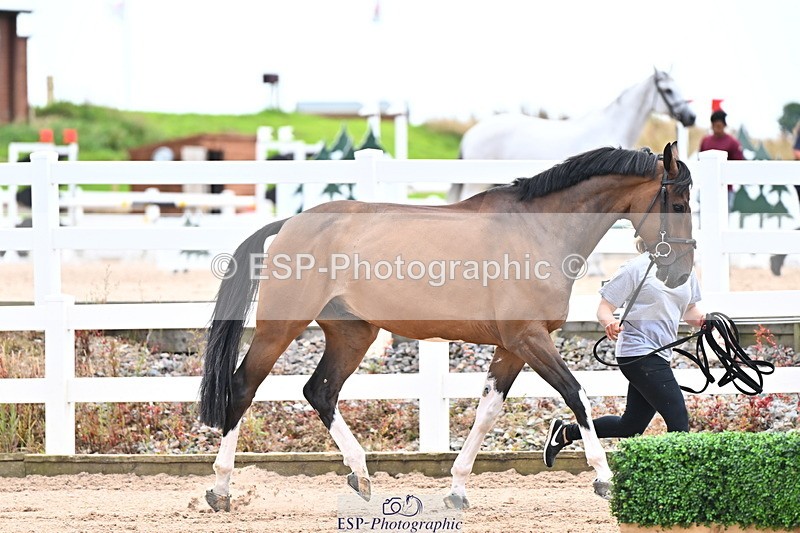 240718A-105326-02009 - Trot Up 2pm to 3pm - This folder is not in time order