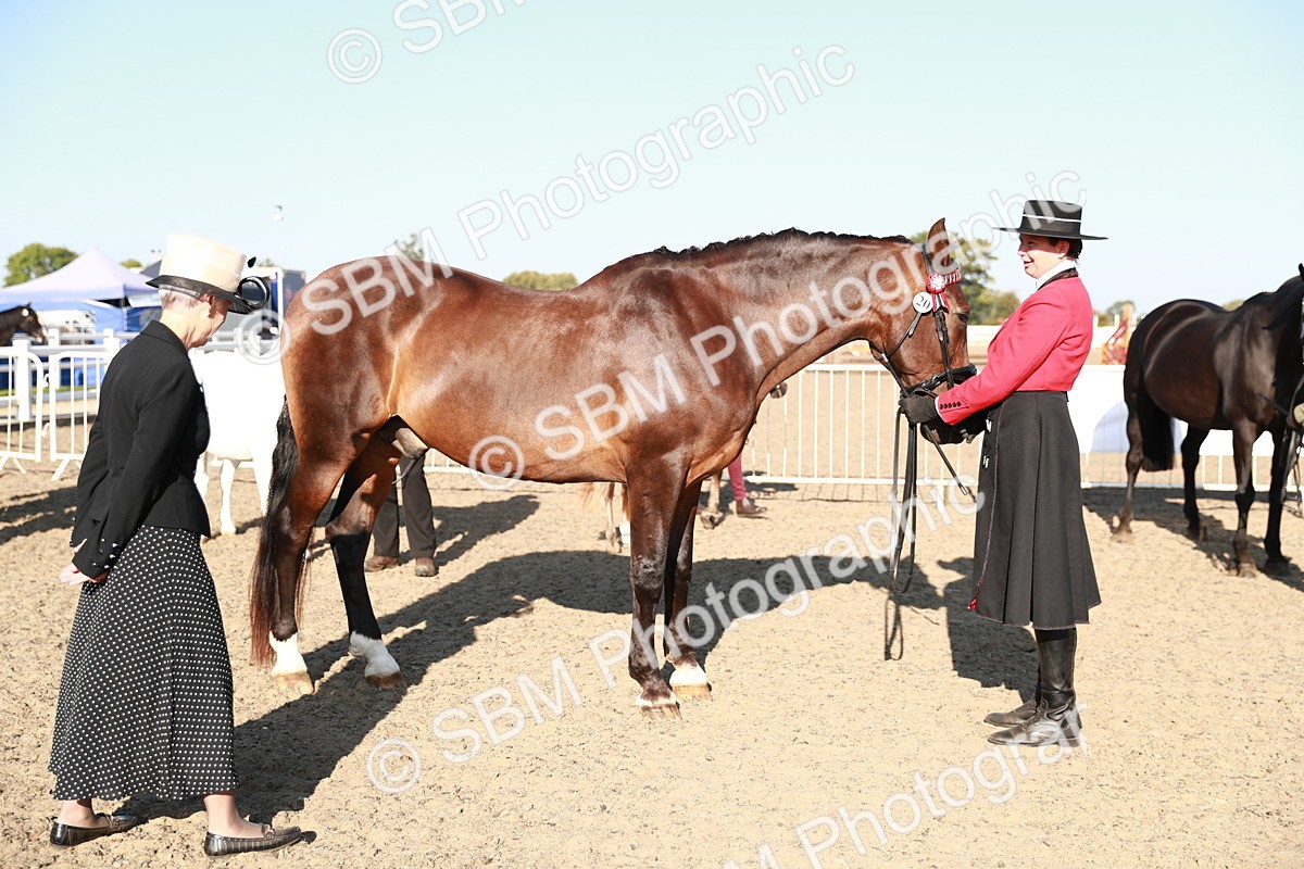 SBM_00061 - Class 40 Best Turned Out IH