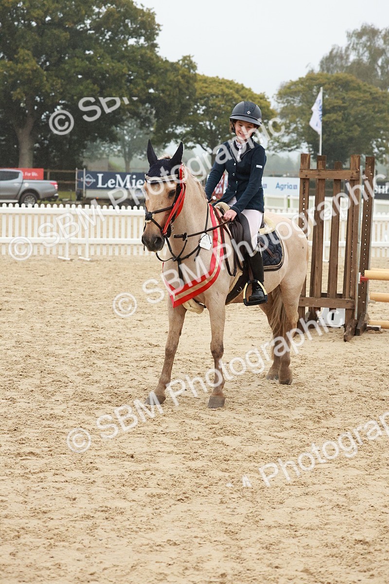 SBM_73486 - Supreme Championship Junior Pony 60cm & 65cm