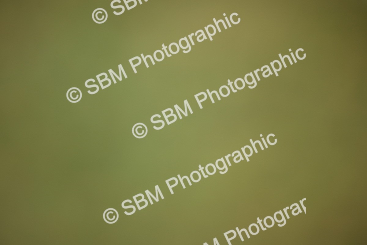 SBM_020253 - Class 26 - PSG Silver