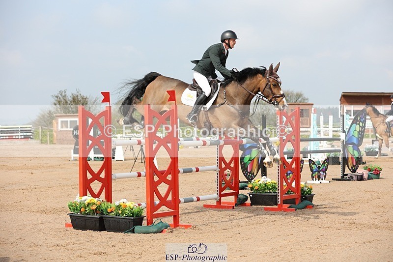 250424-103349-03094 - Cls 33 Young Horse 7yr old