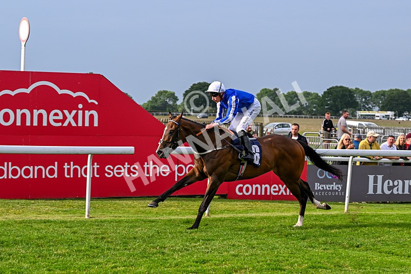 160626-Race 1-Waasil-3193 - Race 1 18.30pm Napoleons Casino Hull Dine In Style From £35 EBF Novice Stakes