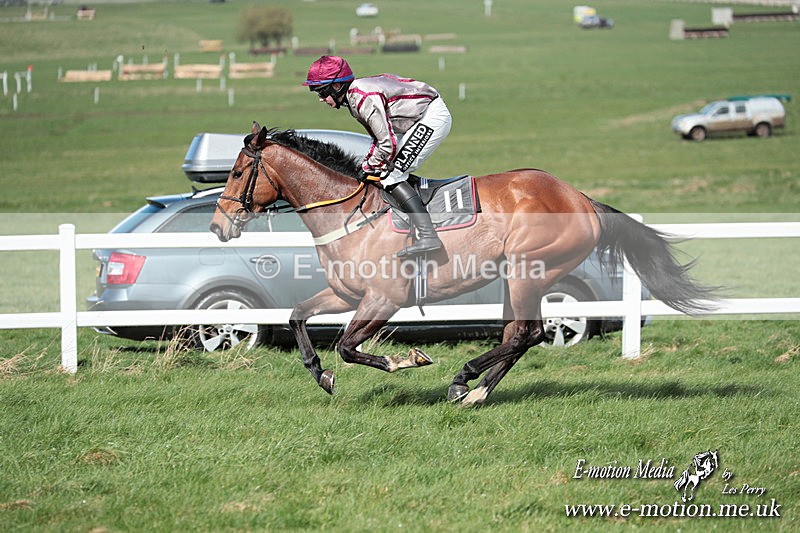 PtP 230324 532 - Tedworth Hunt PtP Larkhill Raccourse 23rd March 2024