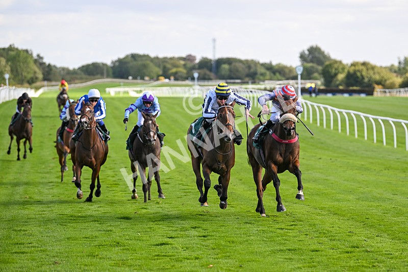 100924-Race 4-Scarboroughwarning-0338 - Race 4