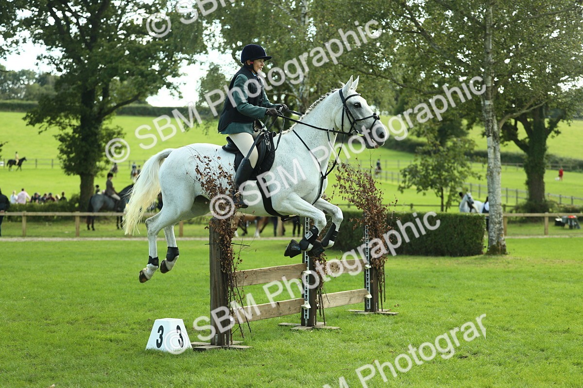 SBM_50589 - S33 - Working Hunter & Working Show Horse