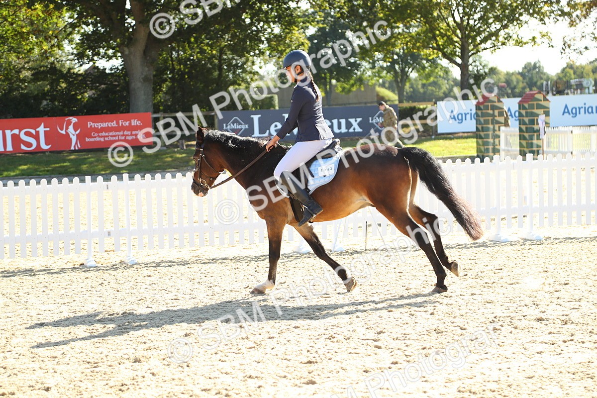 SBM_36080 - J5 - Junior Pony 50cm Championship