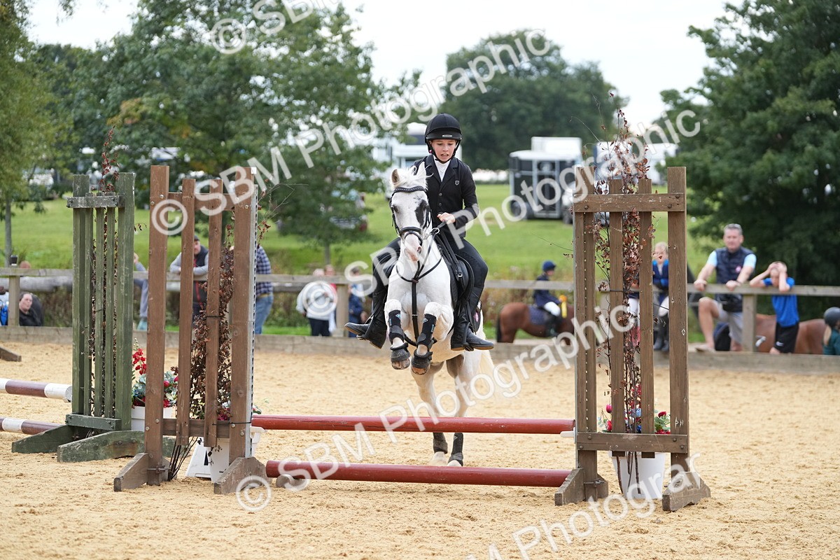 SBM_74802 - J4 - Mini Tour Junior Pony 45cm Championship