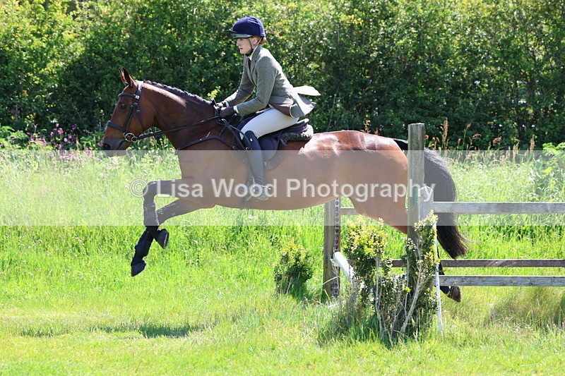 3E7A6983 - Class 30: Novice Working Hunter