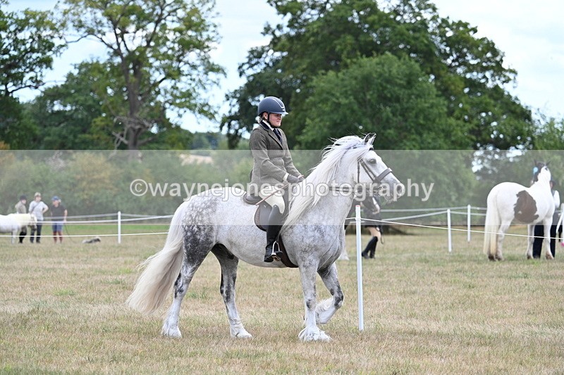 WJ7_4675 - Class 12 Ridden Cob