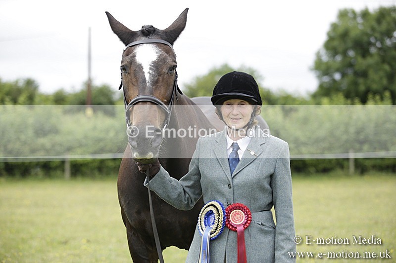 BVR160717-1129 - In Hand Championship 16/07/17