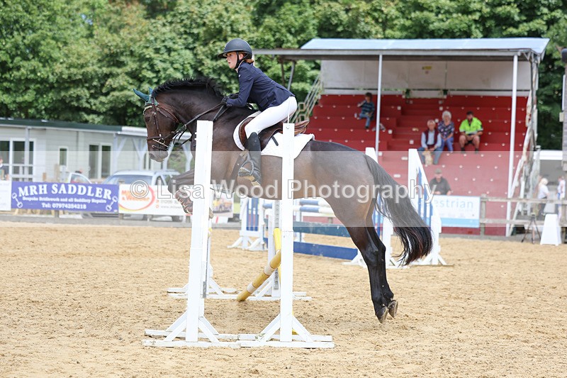 3E7A9998 - Class 9: Senior British Novice/90cm open