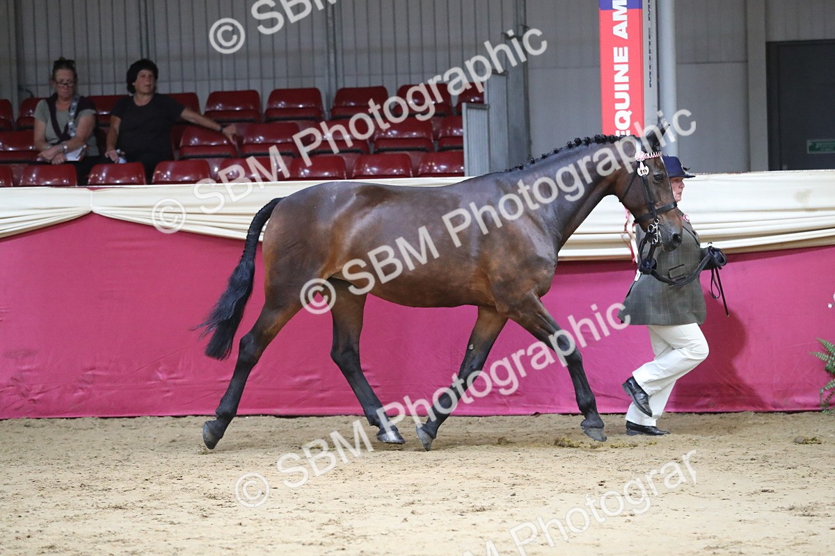 SBM_06270 - Class 9R Regional- IH Pre Vet