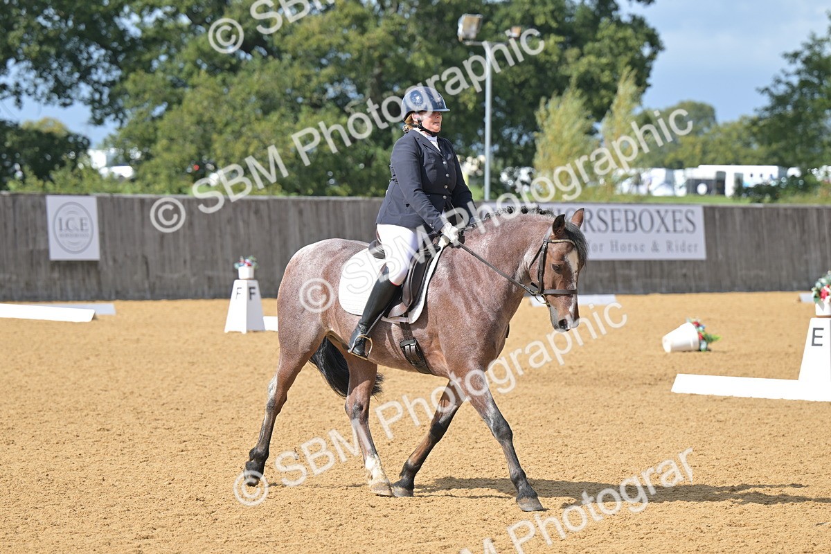 SBM_10920 - D3 - Small Tour Championship Intro 3