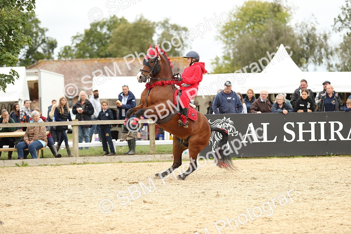 SBM_65868 - J48 - Pairs Jumping Open 70cm & 85cm