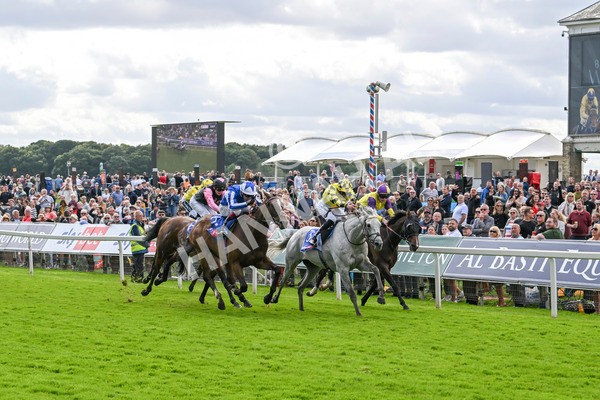 230824-Race 1-Shadow Dance-8709 - Race 1 1.50pm Sky Bet Handicap
