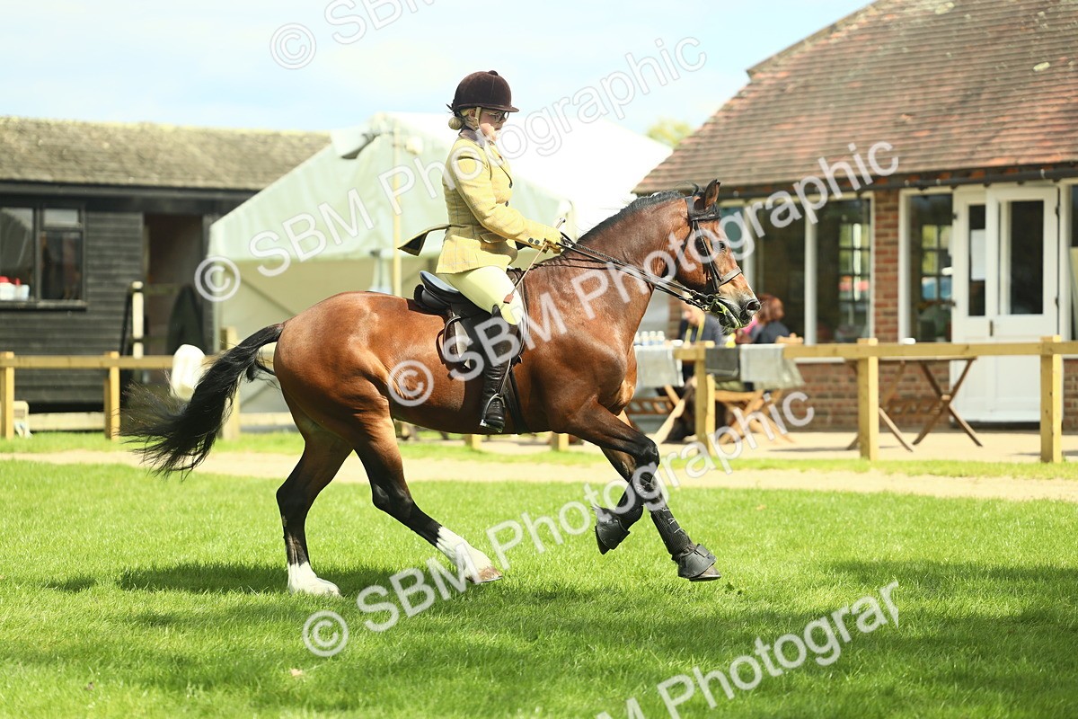 SBM_42962 - S30 - M&M Working hunter Pony