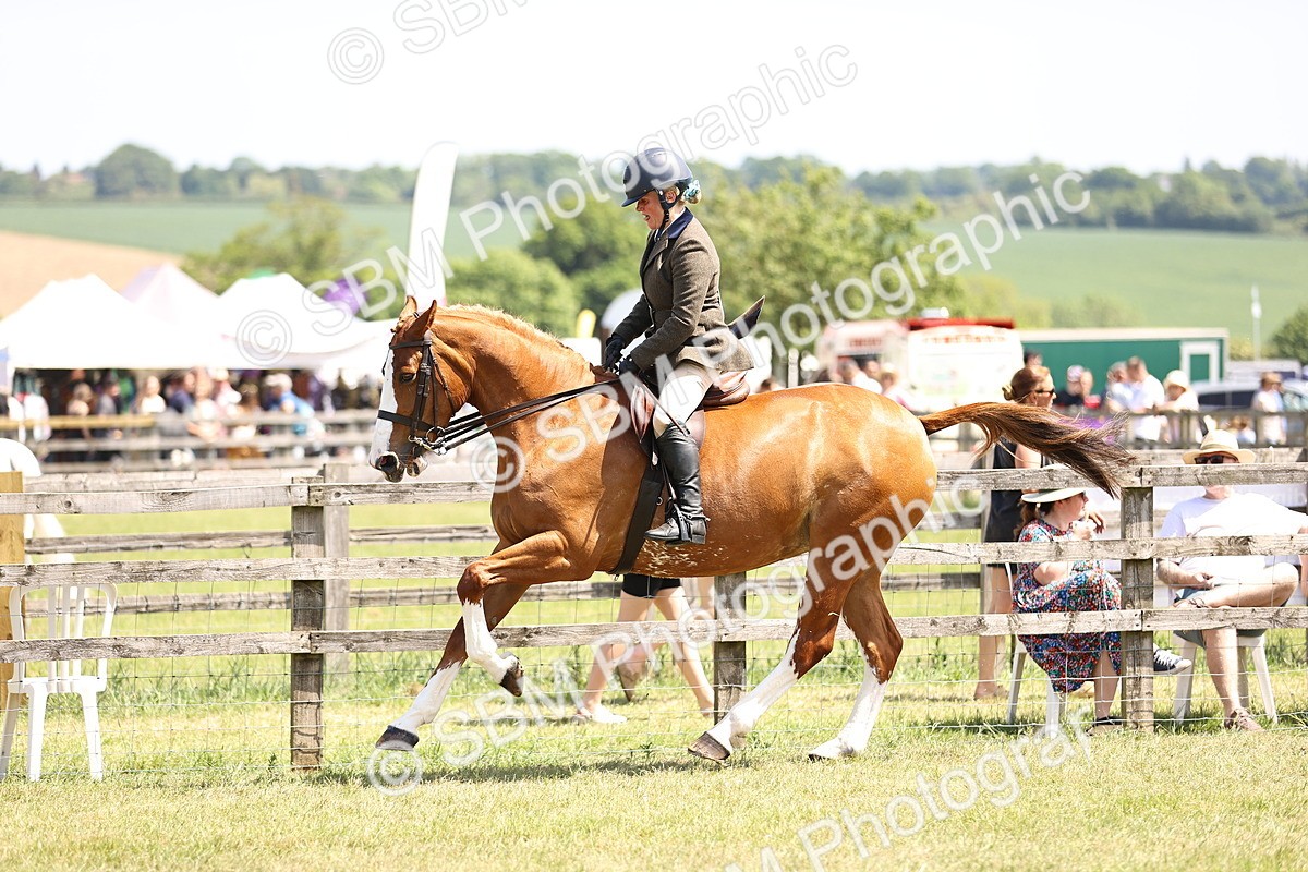 SBM_15107 - Class 79-80 - LIHS BSHA Rising Star Ridden Hunter
