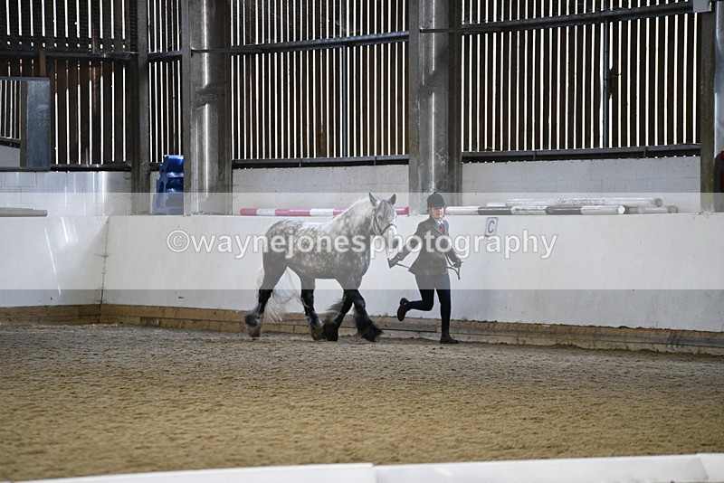 WJ5_5200 - Class 8 In hand cob