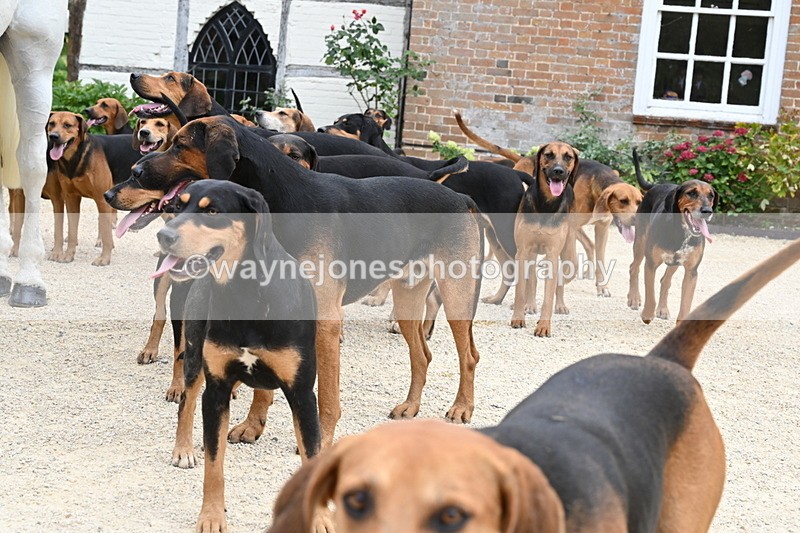 WJ6_3564 - Berks & Bucks - The Old farmhouse - Hound Exercise 20-08-25