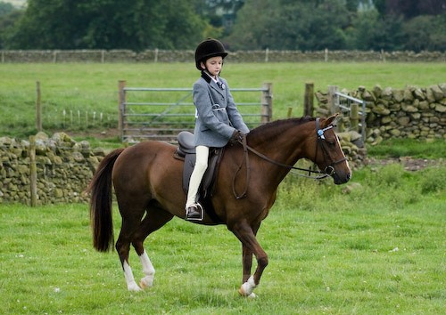 44 - Moniaive Horse Show 2008
