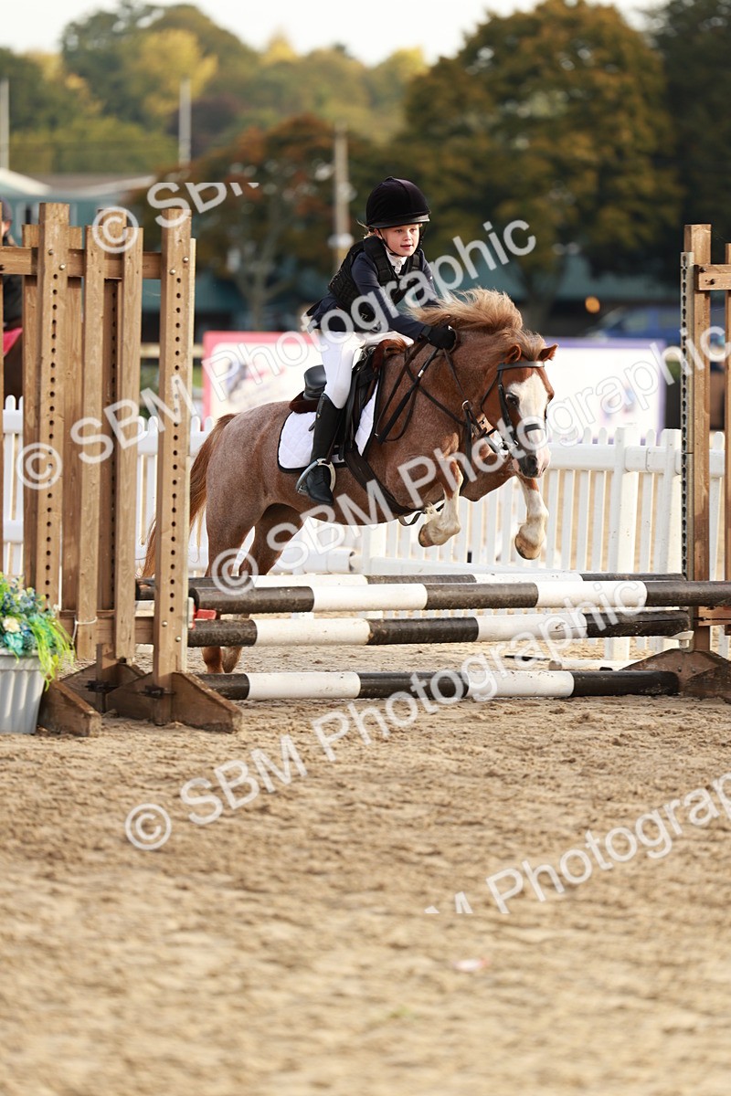 SBM_55543 - J11 - Junior Pony 50cm Championship
