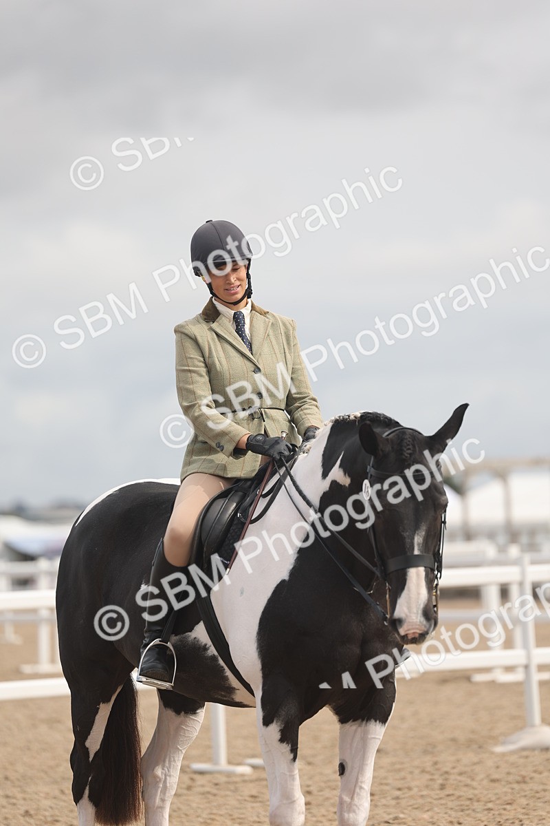 SBM_04532 - Class 19 - Horse/Pony Judge would most like to take home