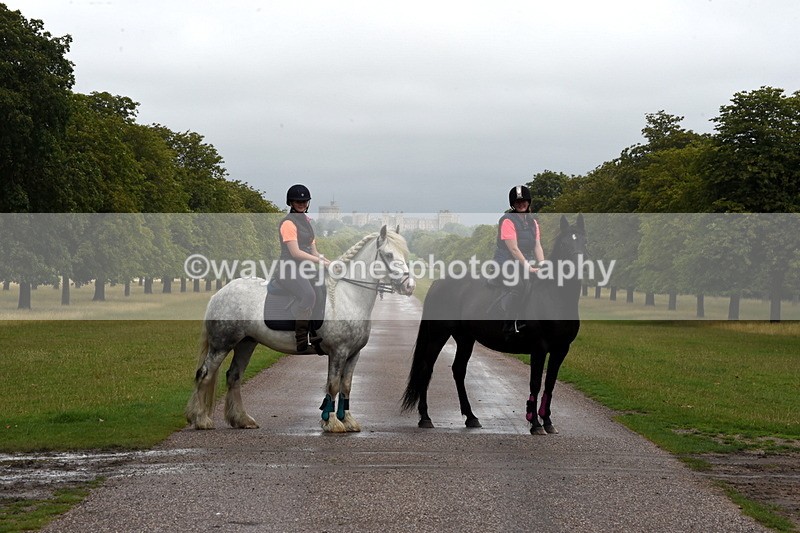 TT3_8286 - Time at Crossing 10:16 to 11:38