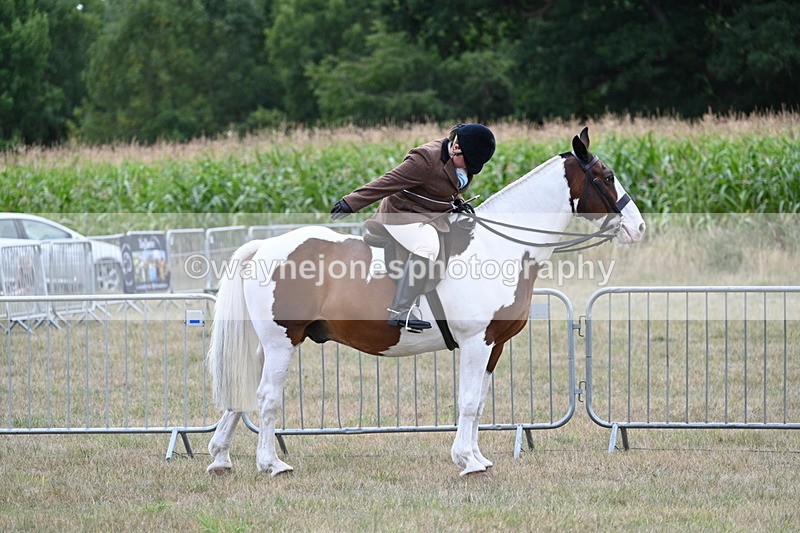 WJ7_5329 - Class 12 Ridden Cob