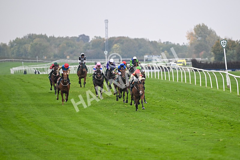 181025-Race 6-U Sure Do-0967 - Race 6