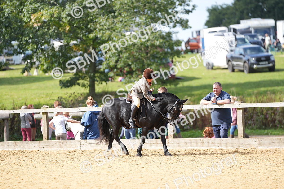 SBM_64588 - J2 - Mini Tour Junior Pony 30cm Championship
