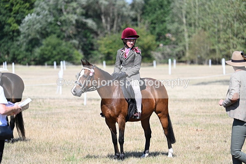 WJ7_4169 - Class 9 Mountain & Moorland Ridden