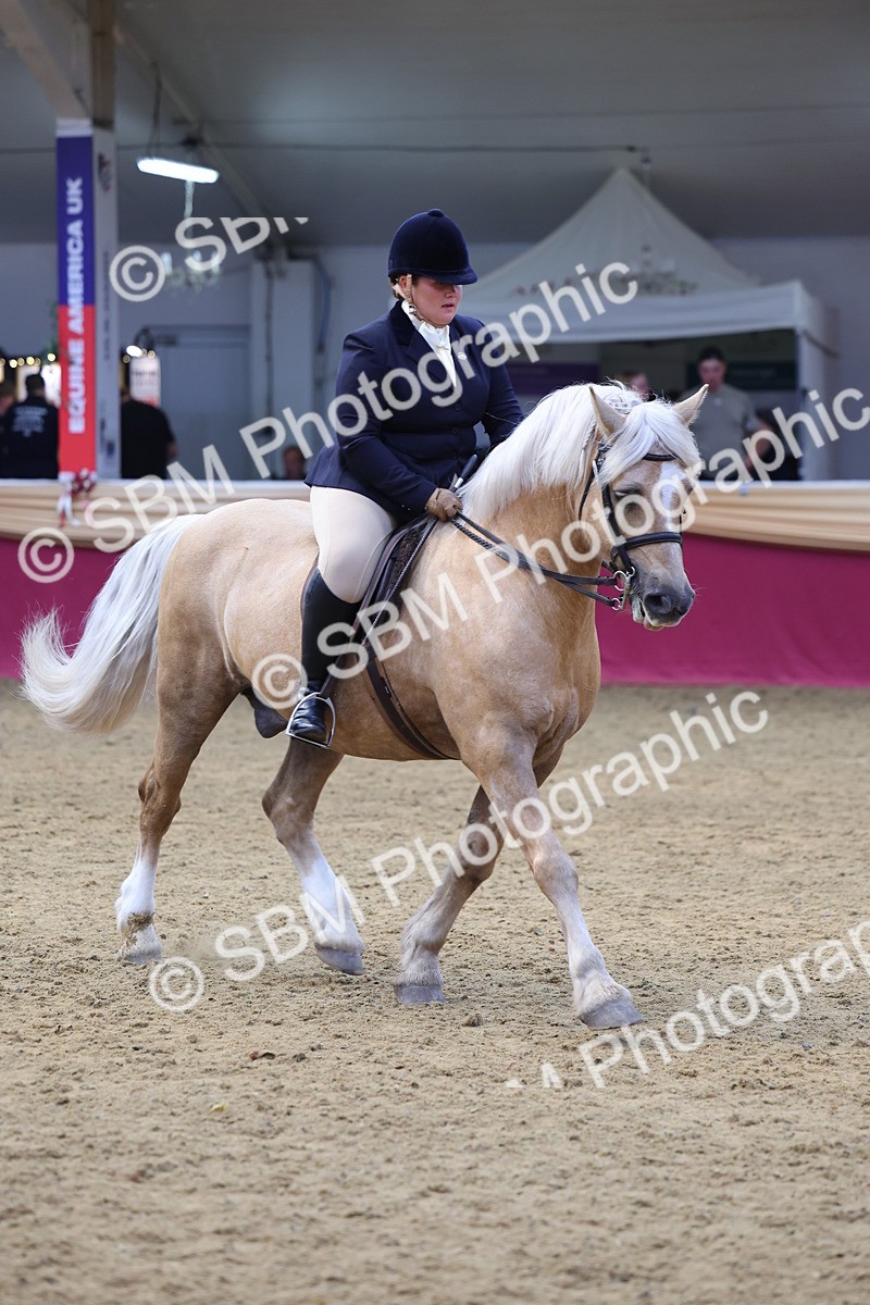 SBM_23951 - Class 905 - Supreme Final - Ridden Veteran