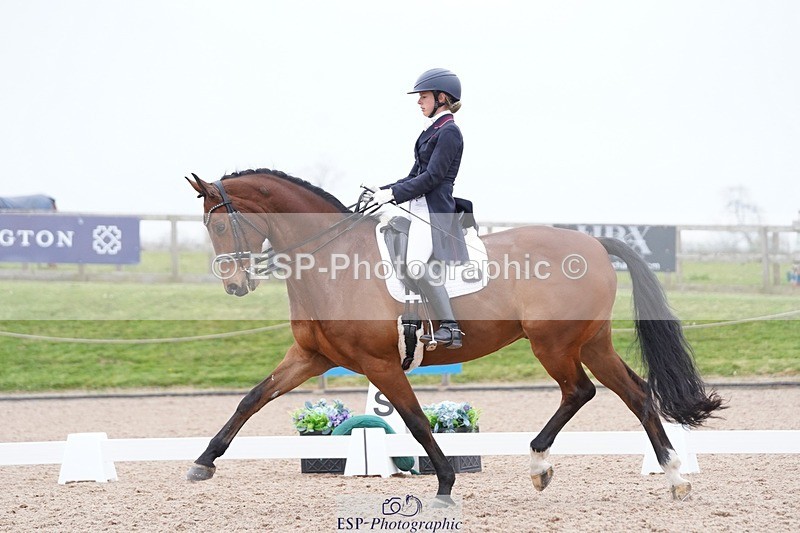 250403-161538-03271 - 028-Elizabeth.Allen-Heraldik