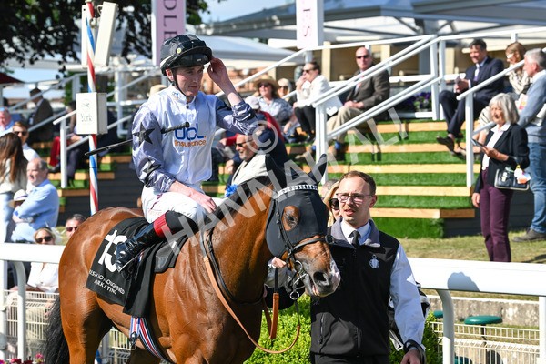 160525-Race 5-The Man-7092 - Race 5 4.15pm Irish Thoroughbred Marketing Handicap