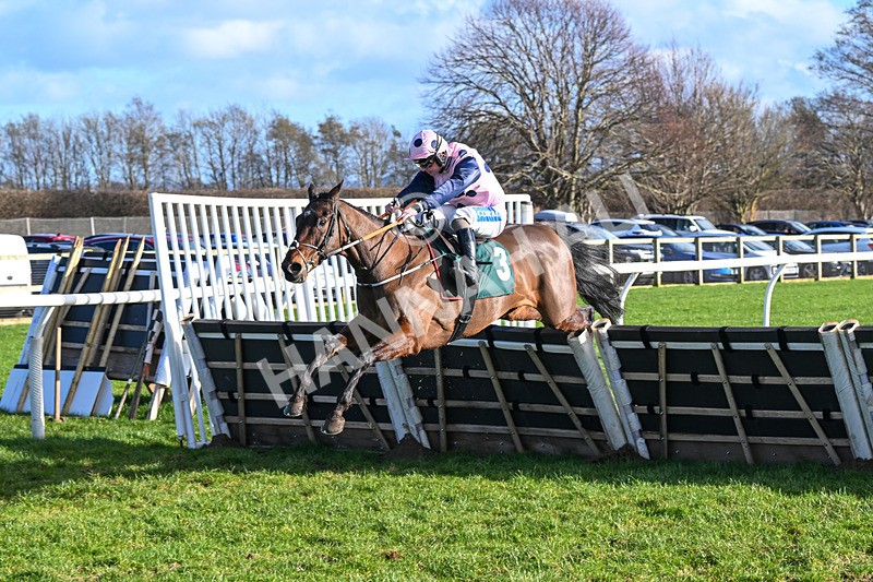 120224-Race 1-Pickanumber-0799 - Race 1