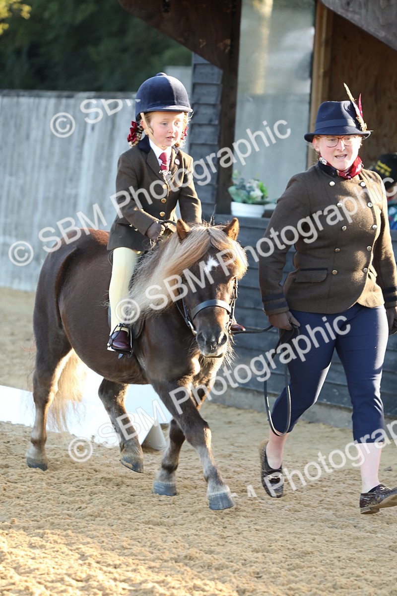 SBM_33541 - D26 - Starers - Lead Rein