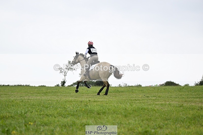 240831A-151616-04463 - 210-Zara.Head-FOURFIELDS.X.FAKTOR