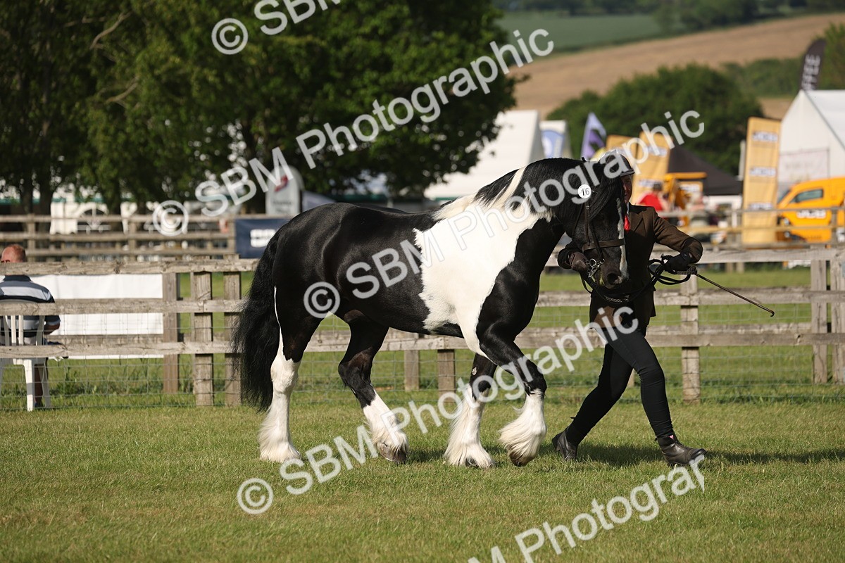 SBM_10368 - Class 33-38 - SSADL RIHS Qualifiers