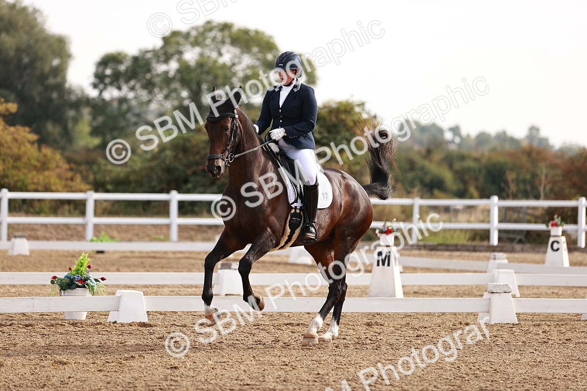 SBM_016888 - Class 10 - Medium 6