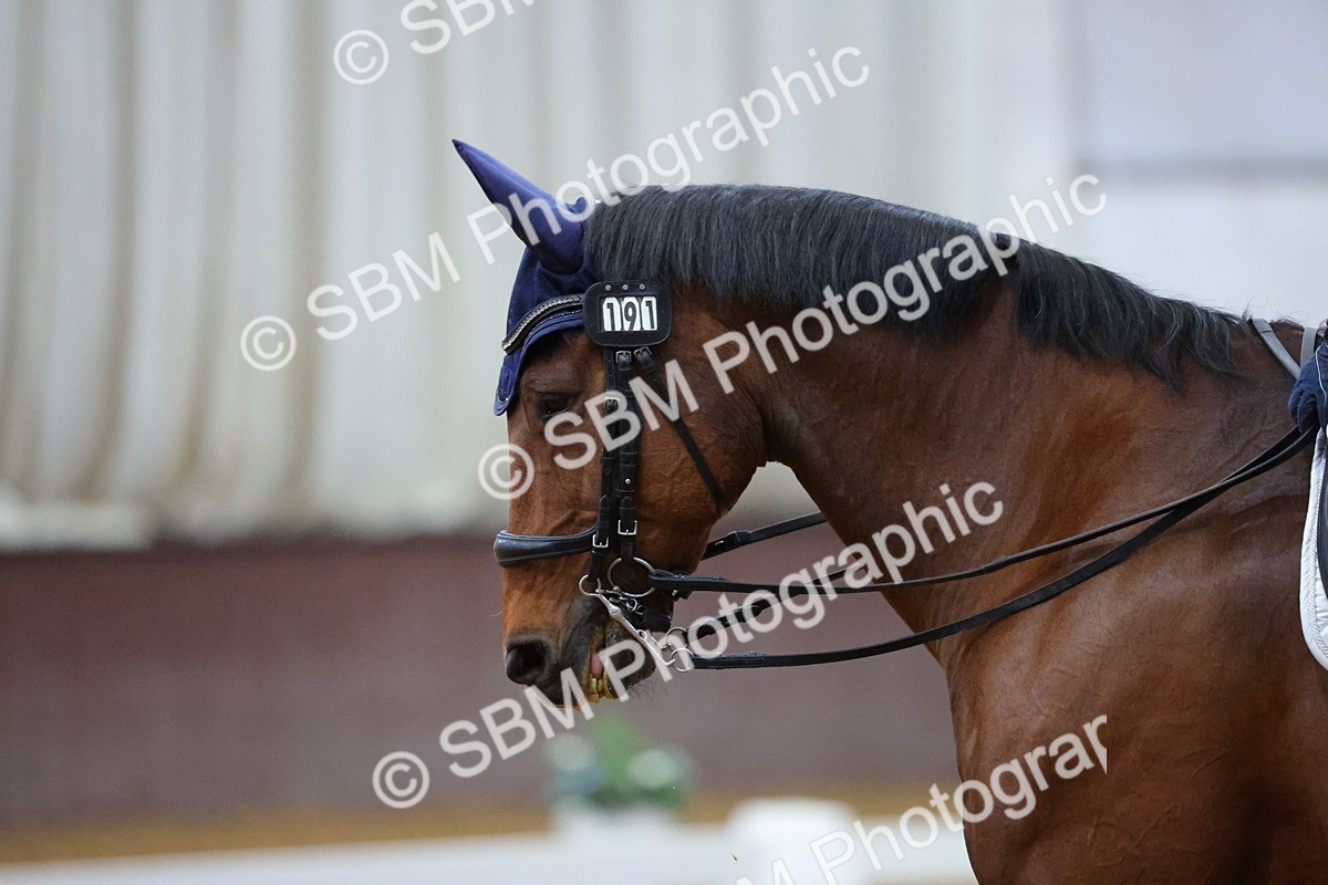 SBM_002136 - Elementary-PYO