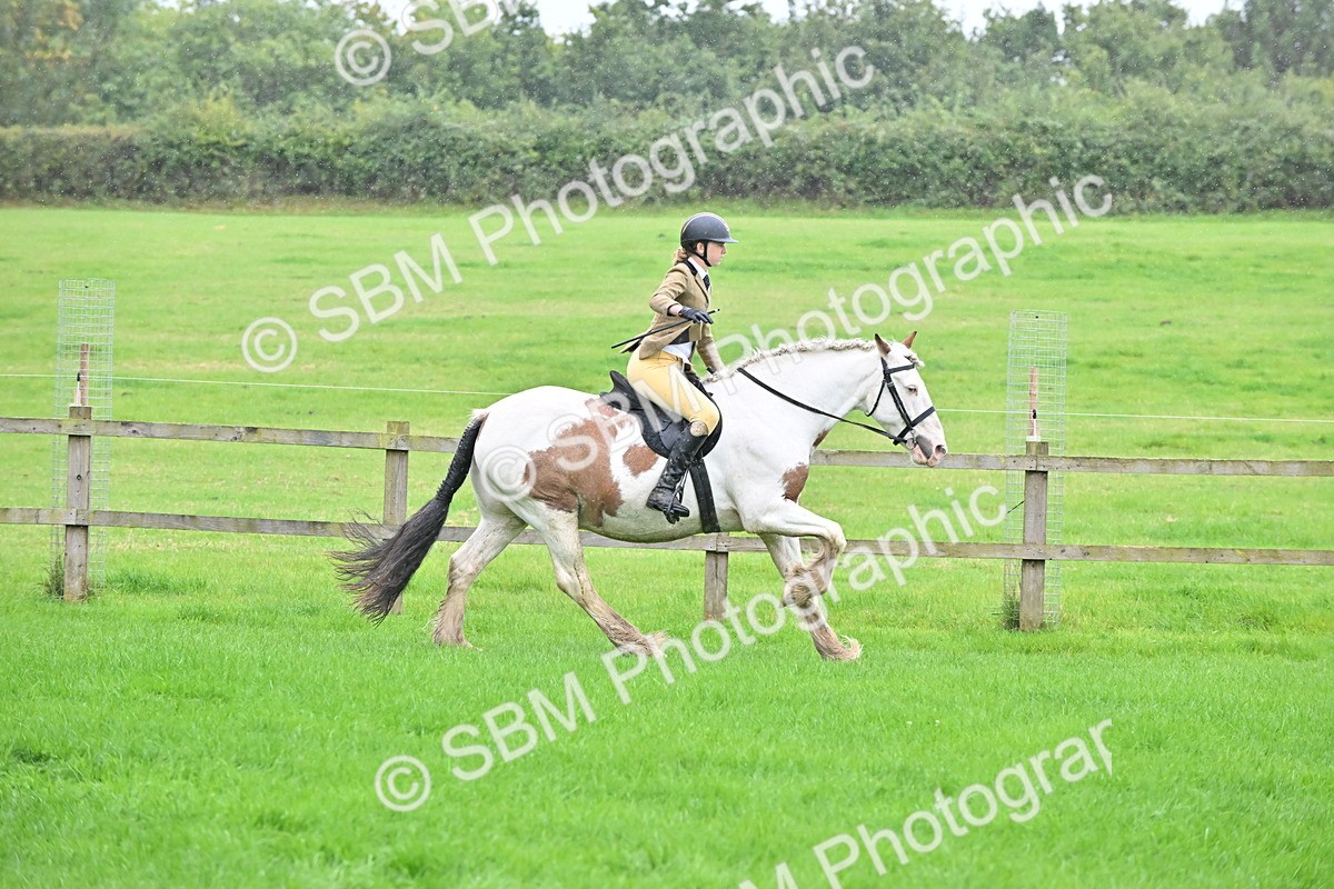 SBM_42971 - S12 - Family Horse & Pony